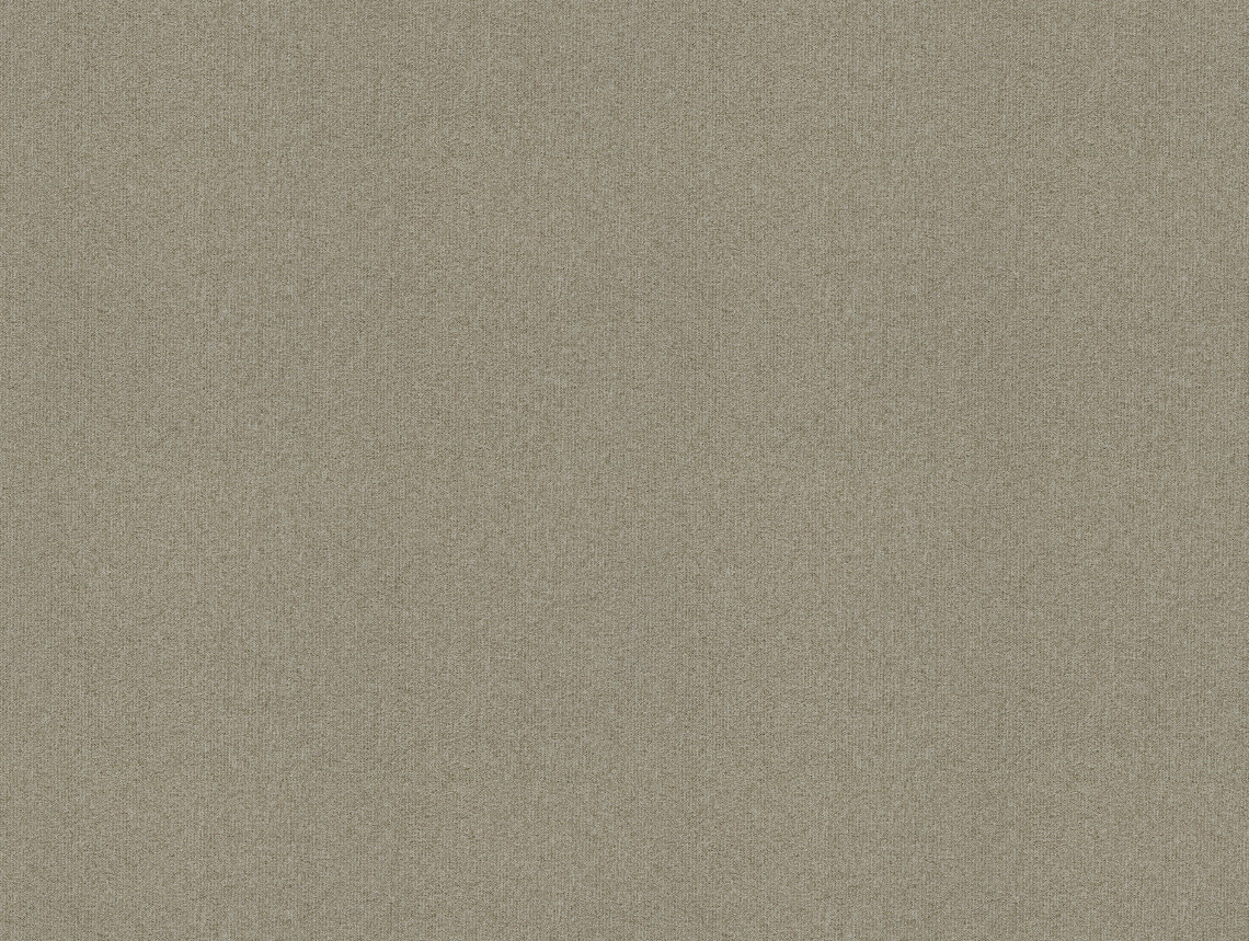 Tessera basis pro - 4211 sandy